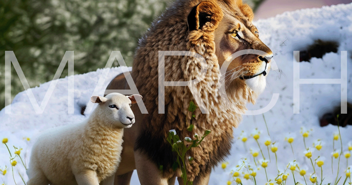 March - In like a lion, out like a lamb photography