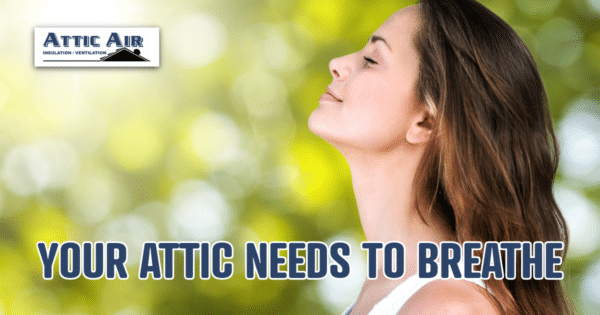 FRESH AIR IMAGE - YOUR ATTIC HAS TO BREATHE