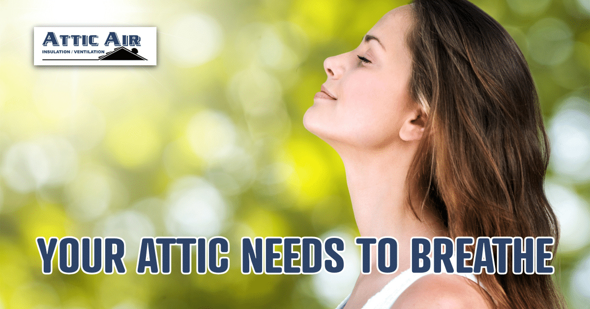 FRESH AIR IMAGE - YOUR ATTIC HAS TO BREATHE